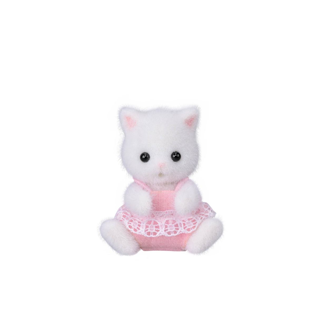 Twins Cat from Persian Collection - Image 2